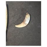 Animal Bones and Teeth Including Skulls and Claws