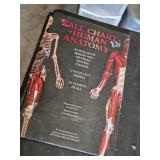 Wall Chart of Human Anatomy and Vintage Medical Instruments