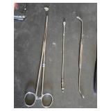 Wall Chart of Human Anatomy and Vintage Medical Instruments