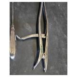 Wall Chart of Human Anatomy and Vintage Medical Instruments