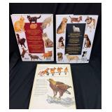 Bird, Cat & Dog Breeds Encyclopedias (Lot of 3)