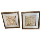 Pair of Framed Tulip Flower Prints