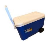 Igloo Cooler
