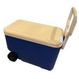 Igloo Cooler