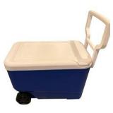 Igloo Cooler
