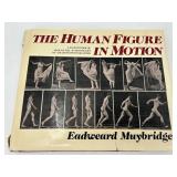 Meilach, Tolley & Molesworth Design Books - The Human Figure in Motion & Flea Market Style
