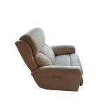Power Lift Recliner Chair with Side Control