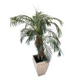Artificial Areca Palm Tree - 5 Ft Tall in Damaged Plastic Pot