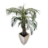 Artificial Areca Palm Tree - 5 Ft Tall in Damaged Plastic Pot
