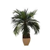 Fake Palm Plant - 4 Feet Tall in Plastic Pot