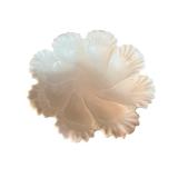 Lenox Floral Border Plate and Bowl - Fine Bone China (Set of 2)
