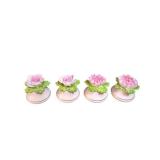Pink Rose Floral Salt & Pepper Shaker Sets (Lot of Two)
