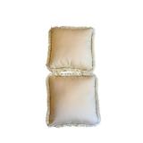 Fringe-Trim Throw Pillows (Lot of 2)