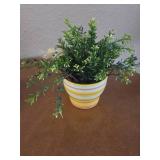 Home Decor- Howlite natural white stone, water can, and plant