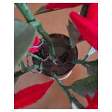 Homemade Poinsettia plant