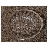 2 Vintage glass dishes