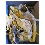 Box of Driftwood