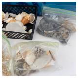 Framed Ocean Scene Print & Seashells (Assorted)