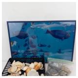 Framed Ocean Scene Print & Seashells (Assorted)