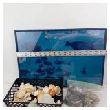 Framed Ocean Scene Print & Seashells (Assorted)
