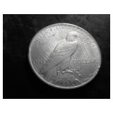 1924 Peace Silver Dollar