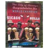 1997-98 STADIUM CLUB!  TEAM OF THE 90’S!  CHICAGO BULLS!  #5