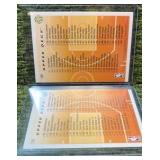 1993-94 Upper Deck Pro View 3D Checklist Michael Jordan 2 Card Set #109 & #110 !
