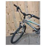 Schwinn bicycle