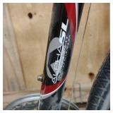 Trek bicycle