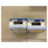 10 1# Boxes 2 1/2" 8D Galvanized Casing Nails