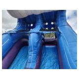 14 X 40 Rapids Dual Lane Water Slide Bounce House 5 in 1 Combo