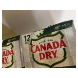 Zero Sugar Ginger Ale
