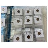 Lincoln Cents in Album