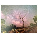 Milky Way at Capitol Reef Canvas Print