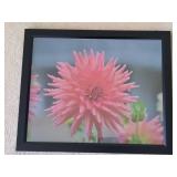 Two 18 x 22" Floral Framed Photos