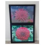 Two 18 x 22" Floral Framed Photos
