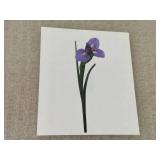 Two Floral Artworks - "Roses" by Johann Weinmann and Iris Print