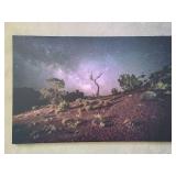 Milky Way at Capitol Reef Canvas Print