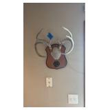 8-point deer rack / antlers