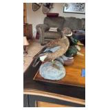 (4) ducks, 1 is taxidermy