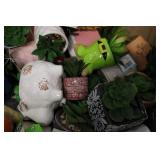 Huge lot of artificial succulents a...