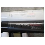 Professional Sebastian hair care pr...
