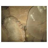 Stack of 6 round bark-on wood slabs a...