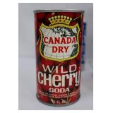 Mixed Lot of 9 Vintage Soda Cans - Pepsi, Diet Pepsi & Canada Dry