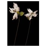 LLR - Decorative Stems and More