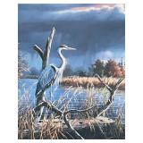 BR1 - Ken Zylla Swamp Islands Signed Framed Print