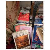 Mixed Lot of Bestselling Books - The Help, The Lovely Bones, The Cat Who Came for Christmas & More