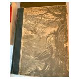 Mixed Vintage Book Lot Thorn Birds Wuthering Heights Gone With Wind