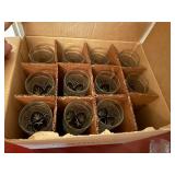 Vintage Cut Glass Champagne Flutes Set of 12 Antique Pattern Boxed