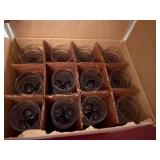 Vintage Cut Glass Champagne Flutes Set of 12 Antique Pattern Boxed